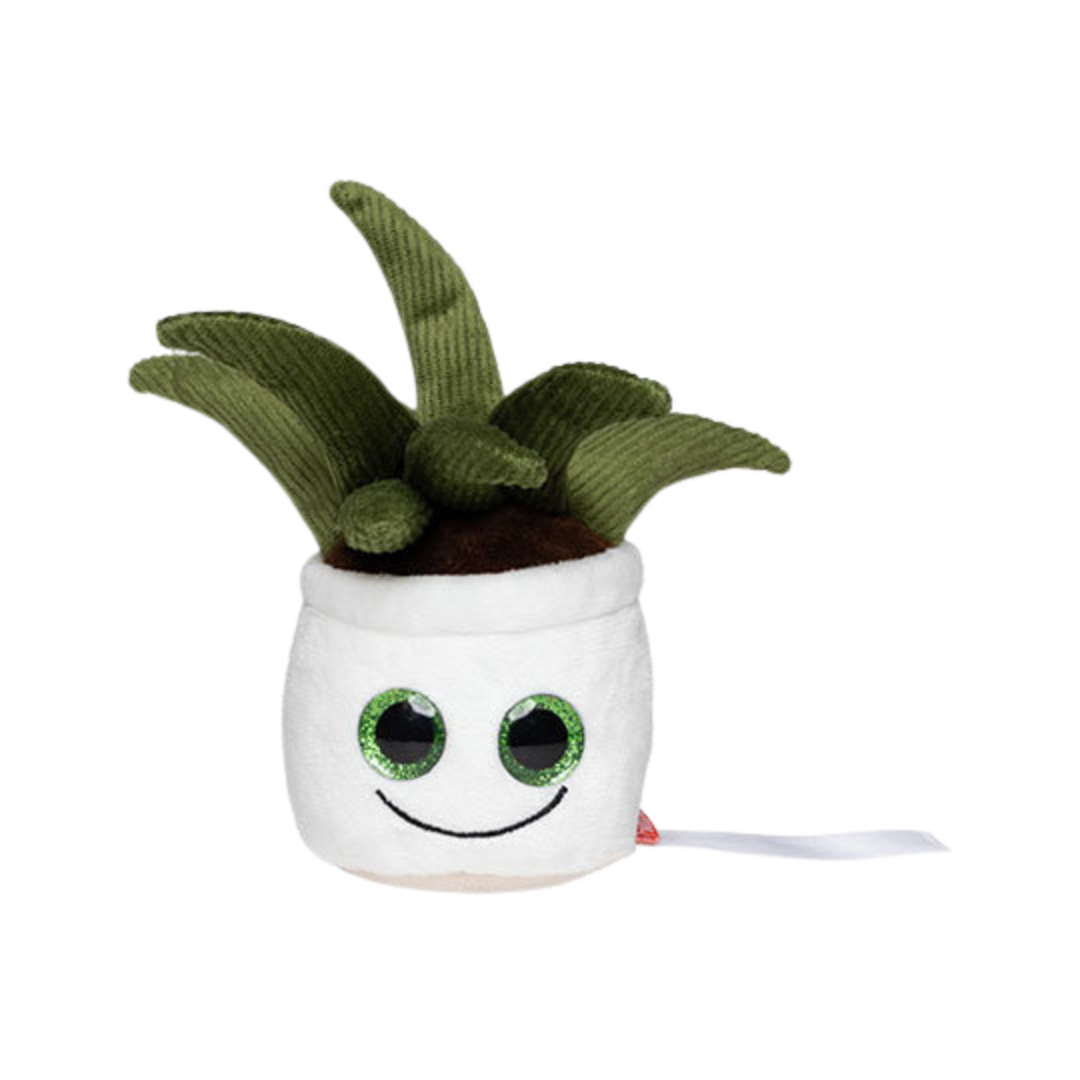NA Schmoozies Monica Aloe Vera